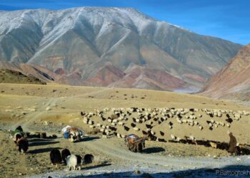 Нүүдэлчин өв соёлоо хадгалж яваа хүмүүс