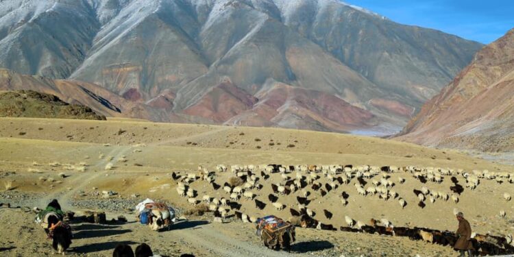 Нүүдэлчин өв соёлоо хадгалж яваа хүмүүс