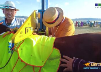 100 жилийн ойн дааганы хэмжилт