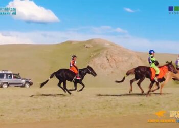 Хурдан шүдлэнгийн уралдаан / Цагаанхайрхан сум 100 жил