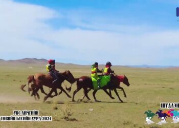 Шүдлэнгийн уралдаан бүтнээр / Увс аймгийн төвийн бүс