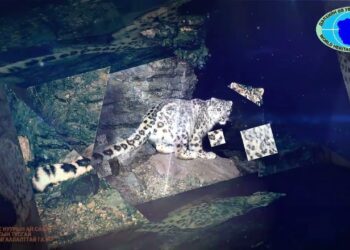 ДЭЛХИЙН ӨВ УВС НУУРАА ХАЙРЛАН ХАМГААЛЦГААЯ