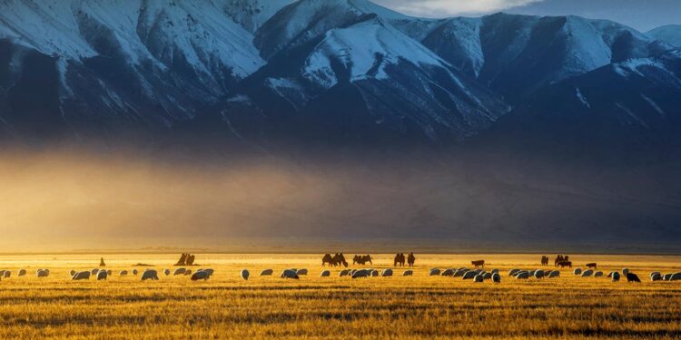 ӨГӨӨЖ, ТҮҮХ АРВИНТАЙ “БОШИГТЫН БУХ” УСАЛГААНЫ СУВАГ