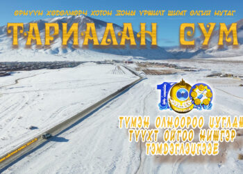 ТҮҮХТ ОЙН ХАНДИВАА ХЭРХЭН ЗАРЦУУЛАХ ВЭ?