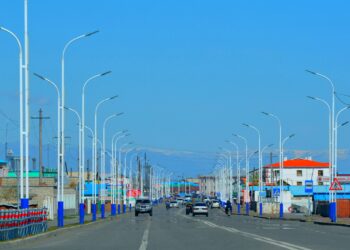 Олон торгуултай ЖОЛООЧИЙН ЭРХИЙГ хасах заалт байгаа юу?