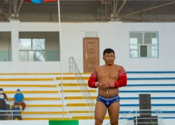 Аймгийн манлай заан Хүлтээгийн МӨНХЖАРГАЛ