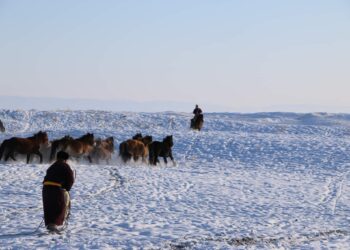 ЗҮҮНГОВЬ СУМЫН БАГИЙН ЗАСАГ ДАРГА НАР