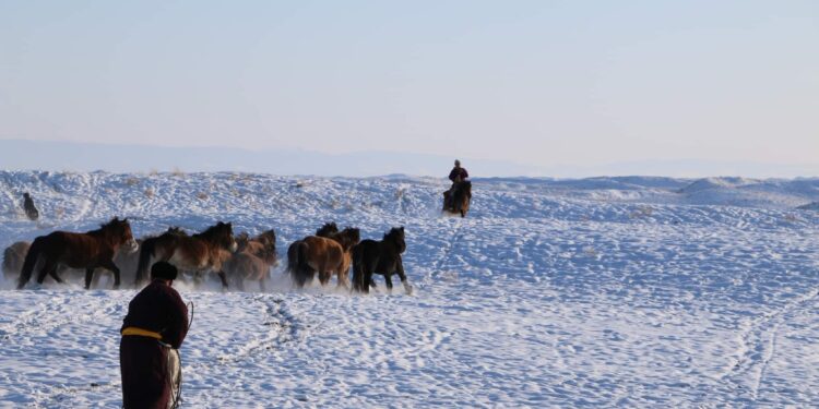 ЗҮҮНГОВЬ СУМЫН БАГИЙН ЗАСАГ ДАРГА НАР