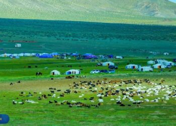 ХАЛИУНБУЛАГ БАГИЙН 90 ЖИЛИЙН ОЙ / 2023.08.20 /