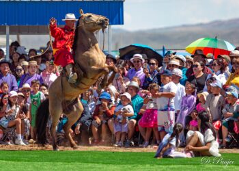 ӨМНӨГОВЬ СУМЫН 100 ЖИЛИЙН ОЙН НЭЭЛТИЙН ТУХАЙ