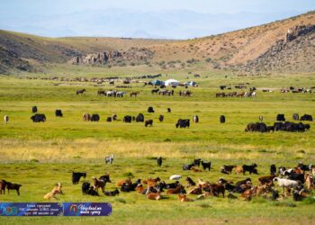 ХАЛИУНБУЛАГИЙН НАМАРЖАА