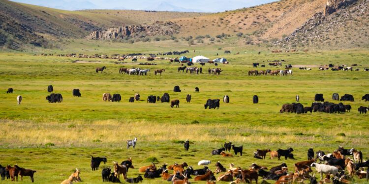 ХАЛИУНБУЛАГИЙН НАМАРЖАА