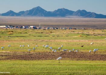 Завхан сумын товч танилцуулга