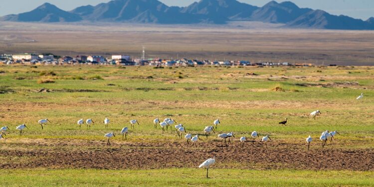 Завхан сумын товч танилцуулга