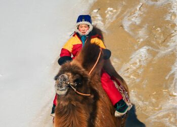 Түмэн тэмээт нутгийн ТЭМЭЭЧДИЙН ЗАЛГАМЖ