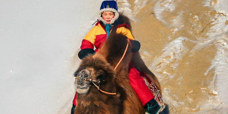 Түмэн тэмээт нутгийн ТЭМЭЭЧДИЙН ЗАЛГАМЖ