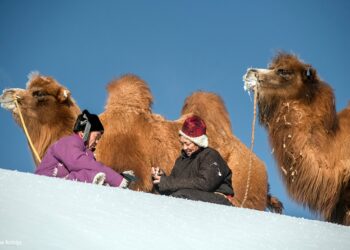 НУТГИЙН АЯЛГА МИНЬ УСТАХ УЧИРГҮЙ…