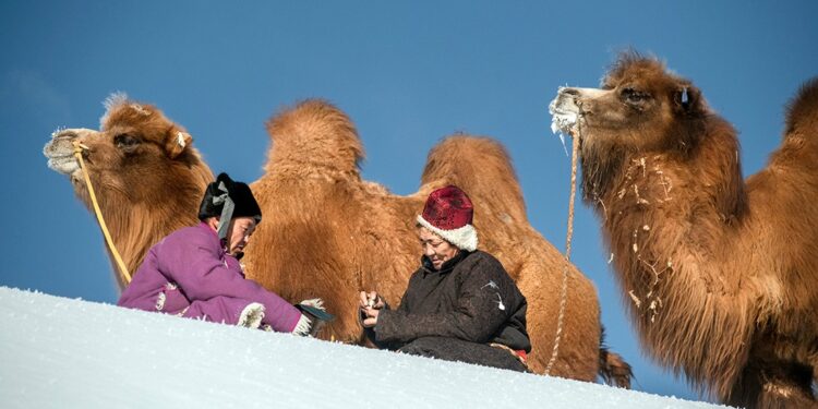 НУТГИЙН АЯЛГА МИНЬ УСТАХ УЧИРГҮЙ…