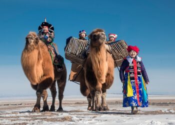 Сүрлэг тэмээдтэй ганган өвөл