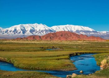 УЛААНГОМ ГЭДЭГ НЭРИЙН ТУХАЙ ДОМОГ