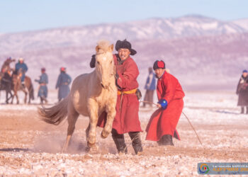 АДУУЧИД ЧАНСААНЫ ОНОО ЦУГЛУУЛДАГ БОЛЖЭЭ
