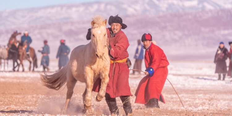 АДУУЧИД ЧАНСААНЫ ОНОО ЦУГЛУУЛДАГ БОЛЖЭЭ
