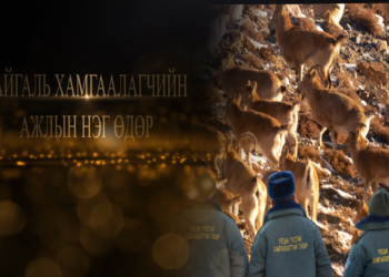 35 ДАХЬ ЖИЛДЭЭ АЖИЛЛАЖ БУЙ БАЙГАЛЬ ХАМГААЛАГЧ