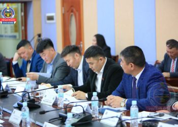 “ДЭЛХИЙН ИРГЭН” БОЛОВСРОЛЫН ТӨСӨЛ, АРГА ХЭМЖЭЭ ХЭРЭГЖИНЭ