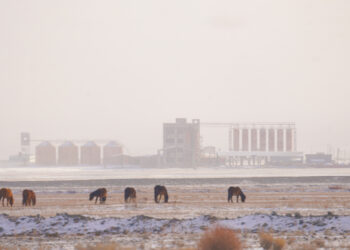 ХАРХИРАА БАГИЙН ТАНИЛЦУУЛГА