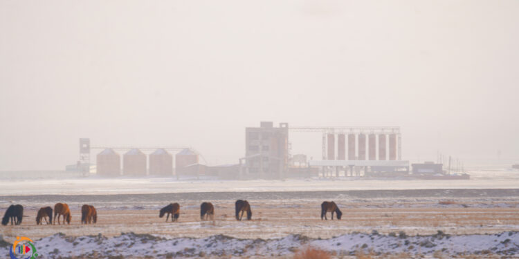 ХАРХИРАА БАГИЙН ТАНИЛЦУУЛГА