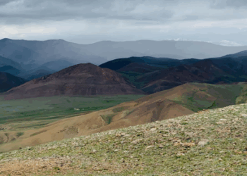 ТАРВАГАТАЙ БАГИЙН ТАНИЛЦУУЛГА