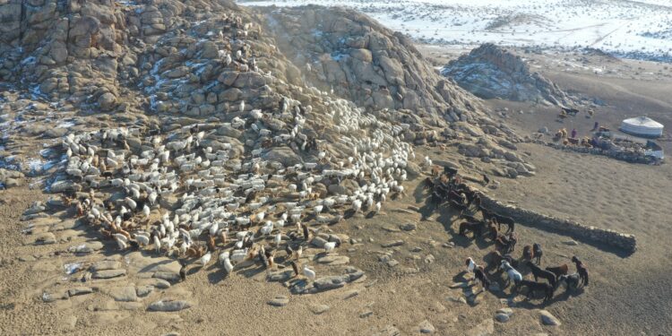 УЛСЫН ХАМГИЙН  САЙН МАЛЧИН  ТҮВДЭНГИЙН АВИРМЭД