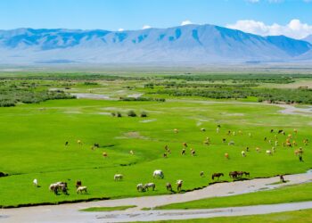Төрөлх сумынхаа түүхт 100 жилийн ойд ХӨХӨӨ багийн иргэдийн хандив