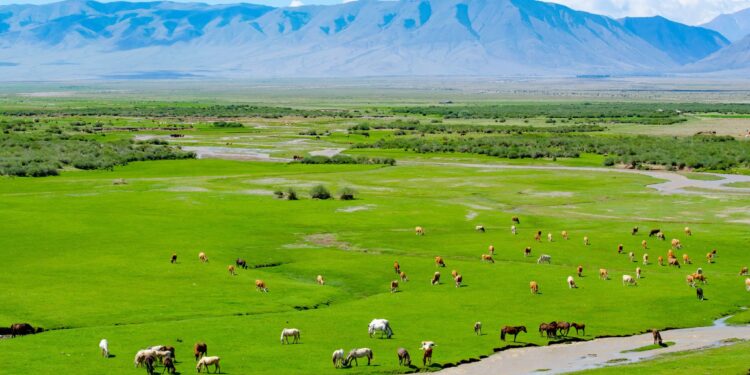 Төрөлх сумынхаа түүхт 100 жилийн ойд ХӨХӨӨ багийн иргэдийн хандив