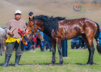 2025 ОНЫ ТӨВИЙН БҮСД АЙРАГДСАН АЗАРГАНУУД