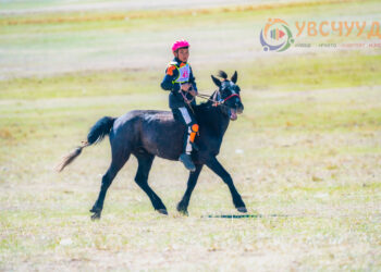 2019 онд Цагаанхайрхан суманд зохиогдсон ЗҮҮН БҮСИЙН ЦУВАА