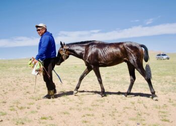 Ховд сумын түүхт ойд түрүүлж айрагдсан соёолонгууд