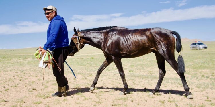 Ховд сумын түүхт ойд түрүүлж айрагдсан соёолонгууд