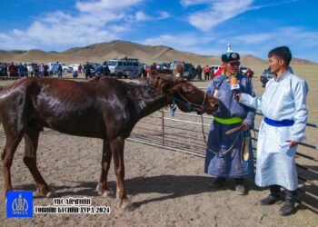 2024 ОНЫ ТӨВИЙН БҮСИЙН УРАЛДААНААС АЙРАГ ТҮРҮҮ ХҮРТСЭН УЯАЧИД