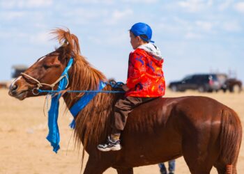 ТЭС СУМЫН ЗАЛУУ УЯАЧ Я.БАТТОГТОХЫН ХҮРЭН ХАЛЗАН СОЁОЛОН АЙРАГДЛАА