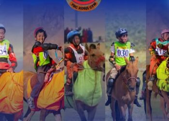 Баруун бүсийн хурд 2025 уралдаанд Д.Алдарын хул даага түрүүллээ