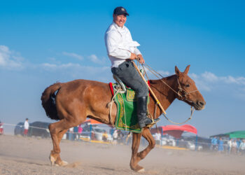 Завхан сумын түүхт ойгоор аав хүү 2 одтой сайхан наадав