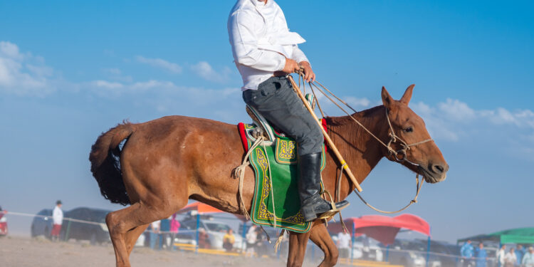 Завхан сумын түүхт ойгоор аав хүү 2 одтой сайхан наадав