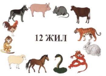 Ховд сумын сурагч Б. Энхзаяа 12 жилийн магтаал