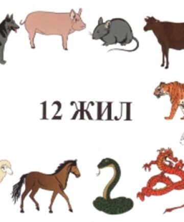 Ховд сумын сурагч Б. Энхзаяа 12 жилийн магтаал