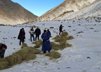 Зэрлэг ан амьтанд биотехникийн арга хэмжээг амжилттай хэрэгжүүллээ