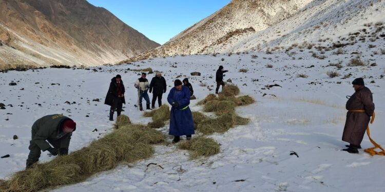 Зэрлэг ан амьтанд биотехникийн арга хэмжээг амжилттай хэрэгжүүллээ