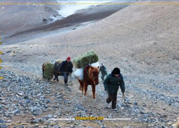 Улаангом сумын ЗДТГ-аас биотехникийн арга хэмжээг хэрэгжүүллээ